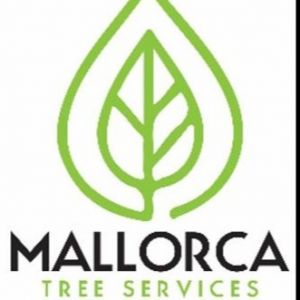 MallorcaTreeService